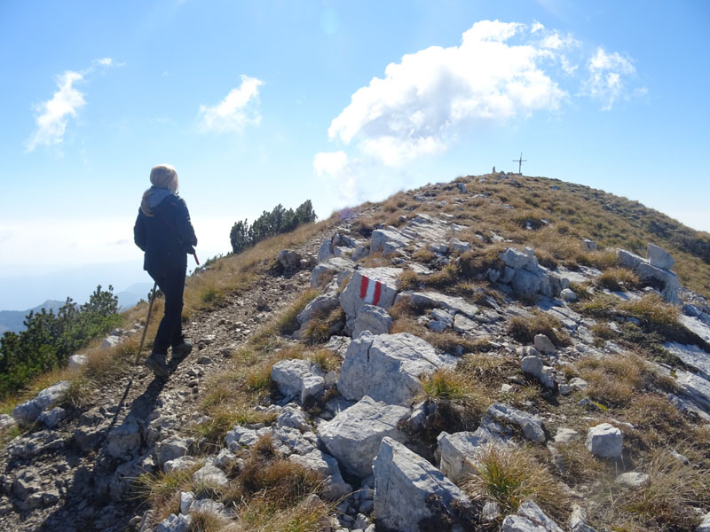 Cima delle Pozzette  m.2132 - Gruppo del Monte Baldo (VR)